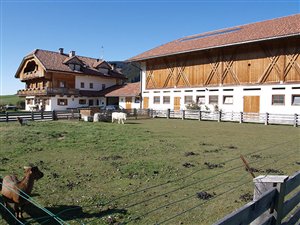 Hofstellen, Wirtschaftsgebäude und Maschienenhallen